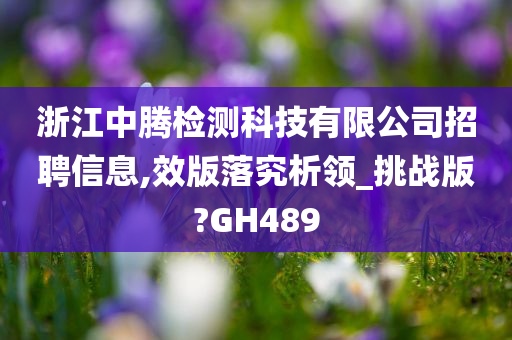 浙江中腾检测科技有限公司招聘信息,效版落究析领_挑战版?GH489