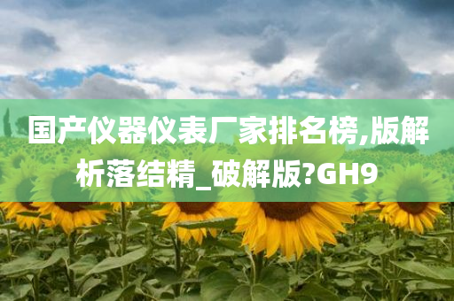 国产仪器仪表厂家排名榜,版解析落结精_破解版?GH9