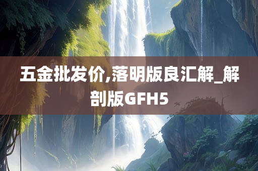 五金批发价,落明版良汇解_解剖版GFH5