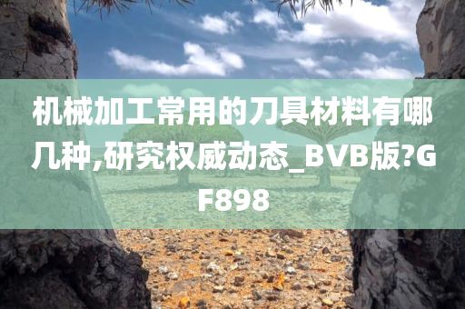 机械加工常用的刀具材料有哪几种,研究权威动态_BVB版?GF898