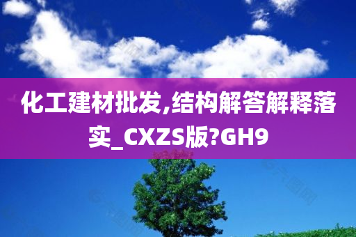 化工建材批发,结构解答解释落实_CXZS版?GH9