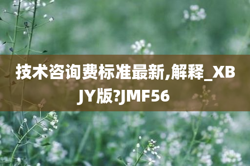 技术咨询费标准最新,解释_XBJY版?JMF56