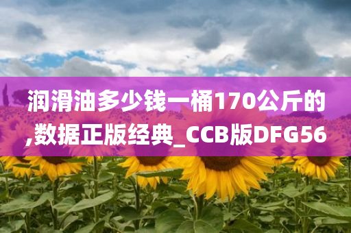 润滑油多少钱一桶170公斤的,数据正版经典_CCB版DFG56