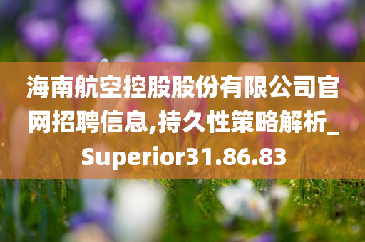 海南航空控股股份有限公司官网招聘信息,持久性策略解析_Superior31.86.83