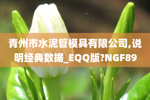 青州市水泥管模具有限公司,说明经典数据_EQQ版?NGF89