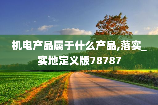 机电产品属于什么产品,落实_实地定义版78787