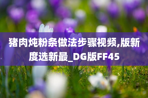 猪肉炖粉条做法步骤视频,版新度选新最_DG版FF45