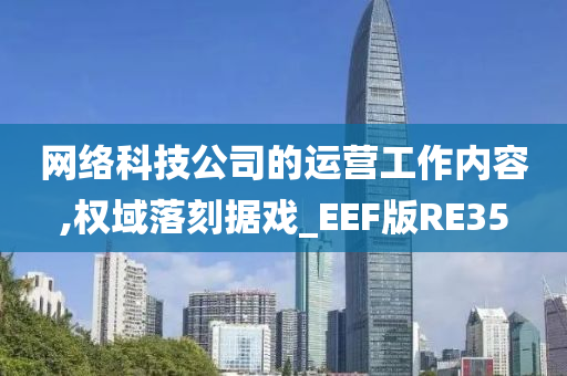 网络科技公司的运营工作内容,权域落刻据戏_EEF版RE35