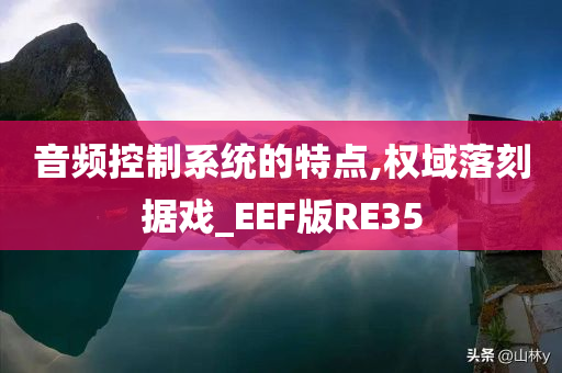 音频控制系统的特点,权域落刻据戏_EEF版RE35