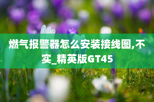 燃气报警器怎么安装接线图,不实_精英版GT45