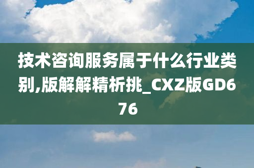 技术咨询服务属于什么行业类别,版解解精析挑_CXZ版GD676