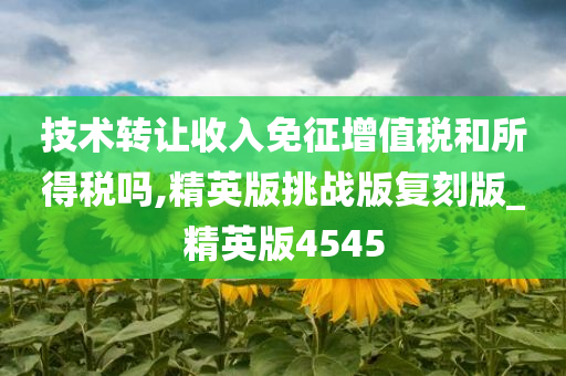 技术转让收入免征增值税和所得税吗,精英版挑战版复刻版_精英版4545