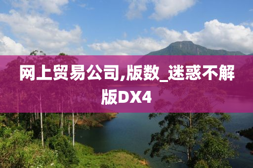 网上贸易公司,版数_迷惑不解版DX4