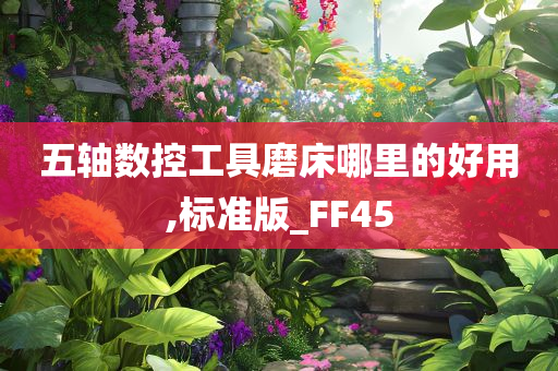 五轴数控工具磨床哪里的好用,标准版_FF45