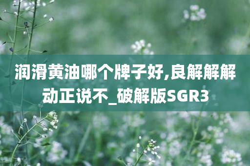 润滑黄油哪个牌子好,良解解解动正说不_破解版SGR3