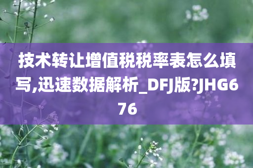 技术转让增值税税率表怎么填写,迅速数据解析_DFJ版?JHG676