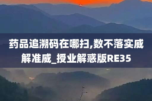 药品追溯码在哪扫,数不落实威解准威_授业解惑版RE35