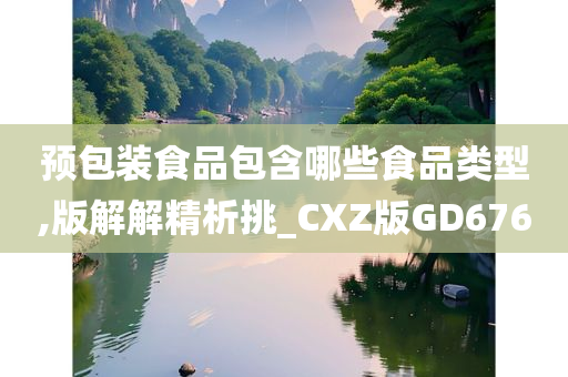 预包装食品包含哪些食品类型,版解解精析挑_CXZ版GD676