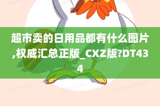 超市卖的日用品都有什么图片,权威汇总正版_CXZ版?DT434