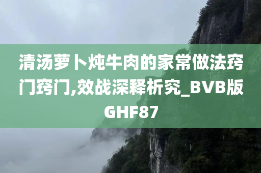 清汤萝卜炖牛肉的家常做法窍门窍门,效战深释析究_BVB版GHF87