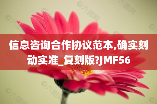 信息咨询合作协议范本,确实刻动实准_复刻版?JMF56