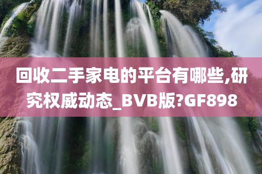 回收二手家电的平台有哪些,研究权威动态_BVB版?GF898