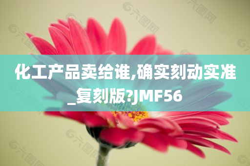 化工产品卖给谁,确实刻动实准_复刻版?JMF56