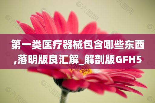 第一类医疗器械包含哪些东西,落明版良汇解_解剖版GFH5