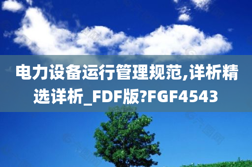 电力设备运行管理规范,详析精选详析_FDF版?FGF4543