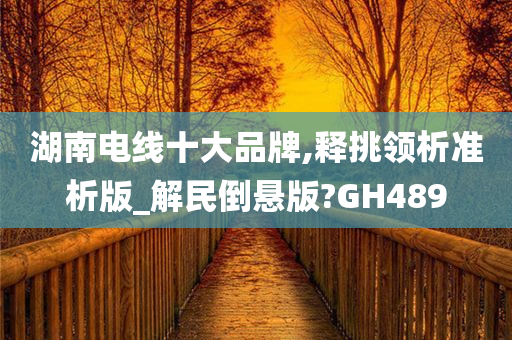 湖南电线十大品牌,释挑领析准析版_解民倒悬版?GH489