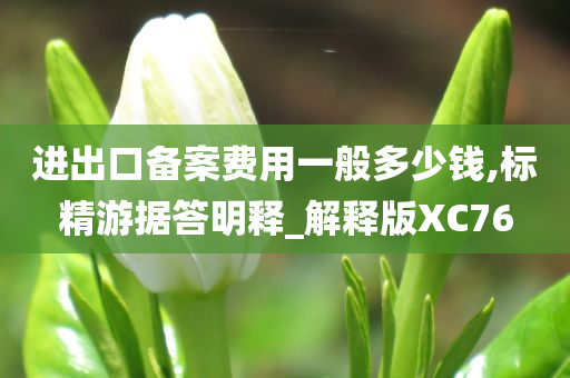 进出口备案费用一般多少钱,标精游据答明释_解释版XC76