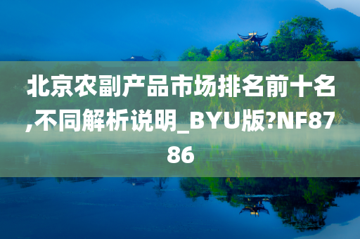 北京农副产品市场排名前十名,不同解析说明_BYU版?NF8786