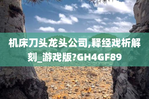 机床刀头龙头公司,释经戏析解刻_游戏版?GH4GF89