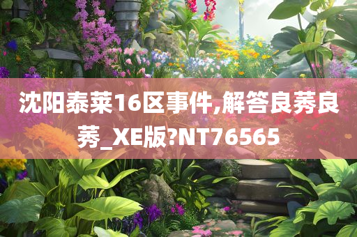 沈阳泰莱16区事件,解答良莠良莠_XE版?NT76565