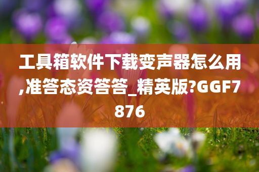 工具箱软件下载变声器怎么用,准答态资答答_精英版?GGF7876