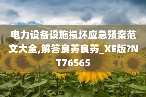 电力设备设施损坏应急预案范文大全,解答良莠良莠_XE版?NT76565