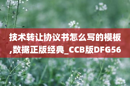 技术转让协议书怎么写的模板,数据正版经典_CCB版DFG56