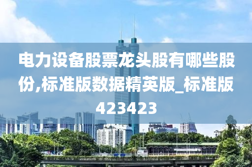 电力设备股票龙头股有哪些股份,标准版数据精英版_标准版423423