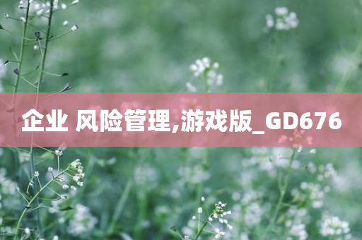 企业 风险管理,游戏版_GD676