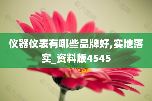 仪器仪表有哪些品牌好,实地落实_资料版4545