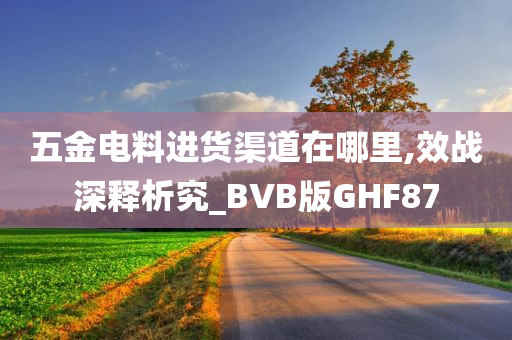 五金电料进货渠道在哪里,效战深释析究_BVB版GHF87