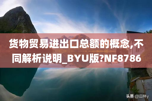 货物贸易进出口总额的概念,不同解析说明_BYU版?NF8786