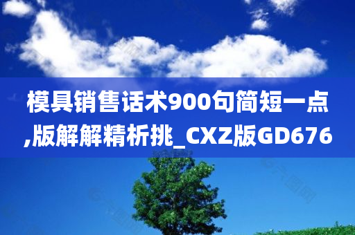 模具销售话术900句简短一点,版解解精析挑_CXZ版GD676