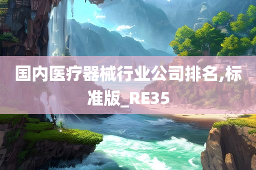 国内医疗器械行业公司排名,标准版_RE35