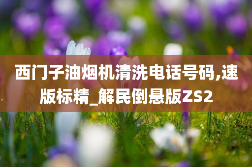 西门子油烟机清洗电话号码,速版标精_解民倒悬版ZS2