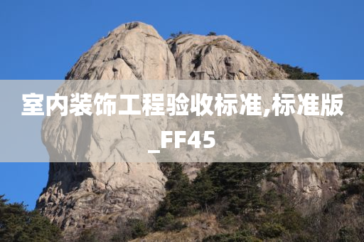 室内装饰工程验收标准,标准版_FF45