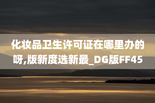 化妆品卫生许可证在哪里办的呀,版新度选新最_DG版FF45