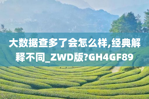 大数据查多了会怎么样,经典解释不同_ZWD版?GH4GF89