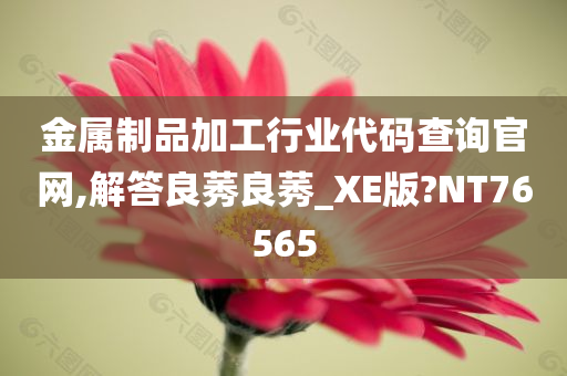 金属制品加工行业代码查询官网,解答良莠良莠_XE版?NT76565