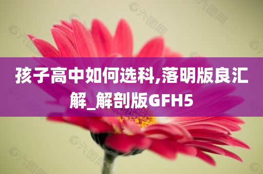 孩子高中如何选科,落明版良汇解_解剖版GFH5